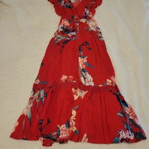 Jaase Red and Blue Floral Maxi Dress